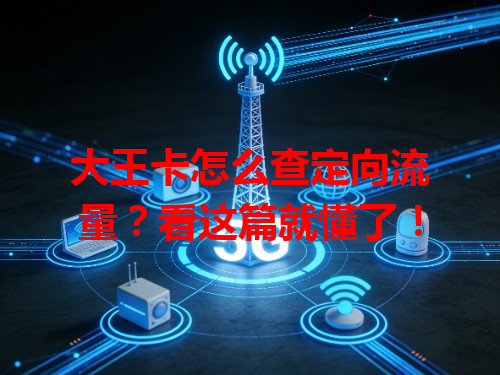 大王卡怎么查定向流量？看这篇就懂了！