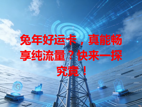 兔年好运卡，真能畅享纯流量？快来一探究竟！