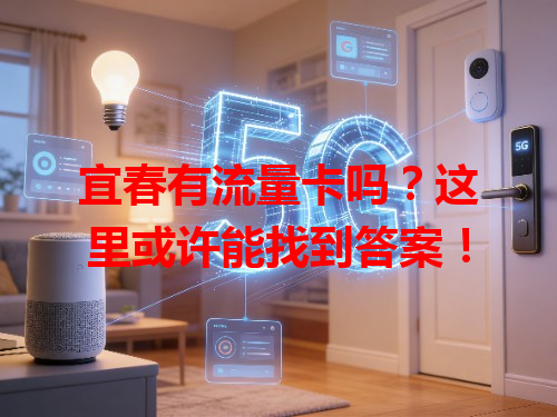 宜春有流量卡吗？这里或许能找到答案！