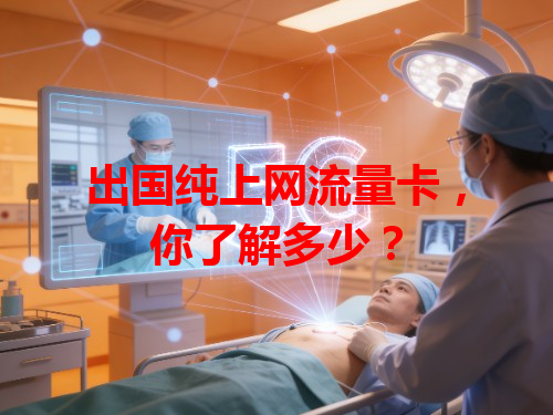 出国纯上网流量卡，你了解多少？
