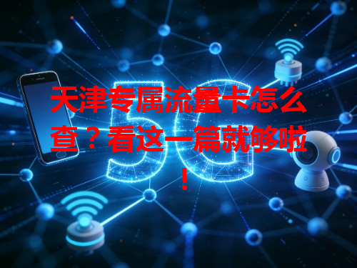 天津专属流量卡怎么查？看这一篇就够啦！