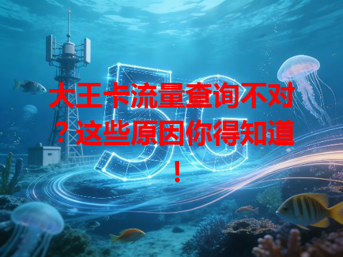 大王卡流量查询不对？这些原因你得知道！