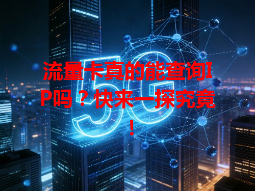 流量卡真的能查询IP吗？快来一探究竟！