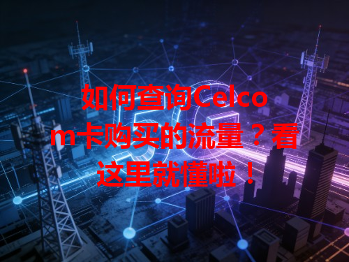 如何查询Celcom卡购买的流量？看这里就懂啦！