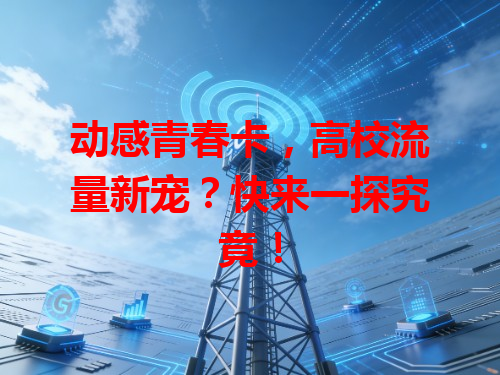 动感青春卡，高校流量新宠？快来一探究竟！