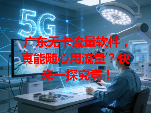 广东无卡流量软件，真能随心用流量？快来一探究竟！