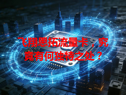 飞翔思拓流量卡，究竟有何独特之处？
