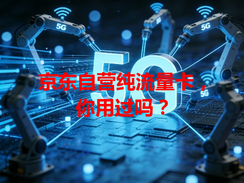 京东自营纯流量卡，你用过吗？