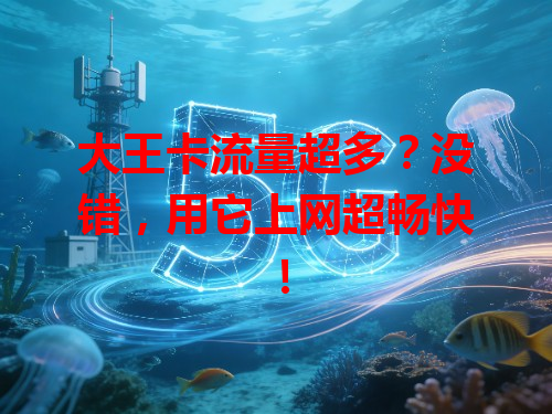 大王卡流量超多？没错，用它上网超畅快！