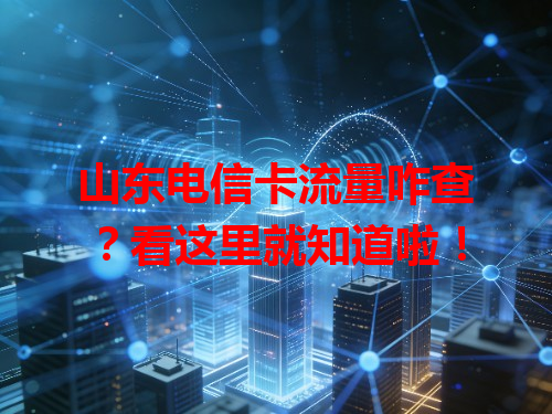山东电信卡流量咋查？看这里就知道啦！