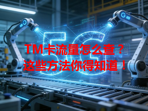 TM卡流量怎么查？这些方法你得知道！