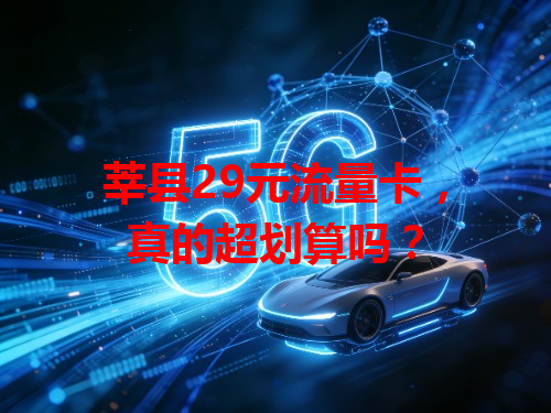 莘县29元流量卡，真的超划算吗？