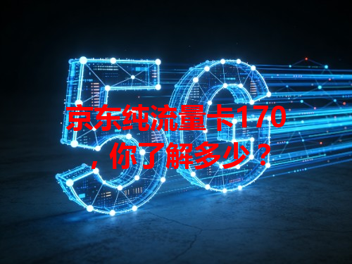 京东纯流量卡170，你了解多少？
