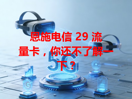 恩施电信 29 流量卡，你还不了解一下？