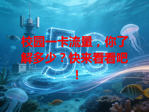 校园一卡流量，你了解多少？快来看看吧！