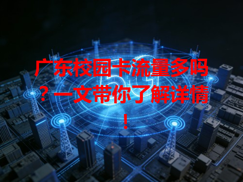 广东校园卡流量多吗？一文带你了解详情！