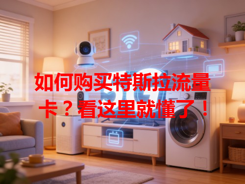 如何购买特斯拉流量卡？看这里就懂了！
