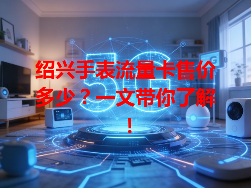 绍兴手表流量卡售价多少？一文带你了解！