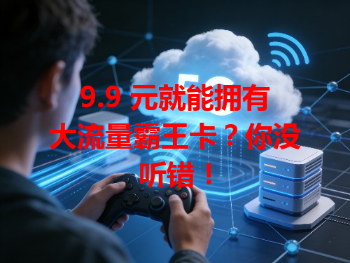 9.9 元就能拥有大流量霸王卡？你没听错！