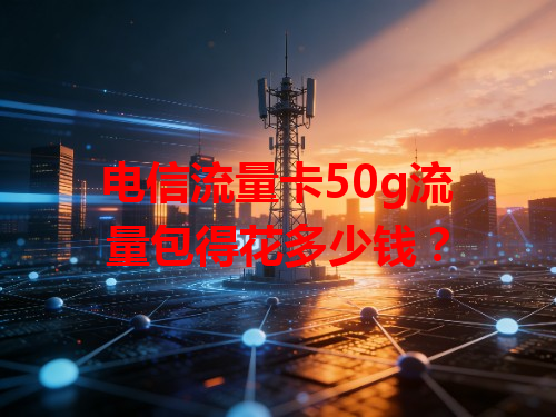 电信流量卡50g流量包得花多少钱？