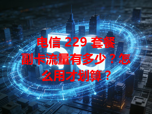 电信 229 套餐副卡流量有多少？怎么用才划算？