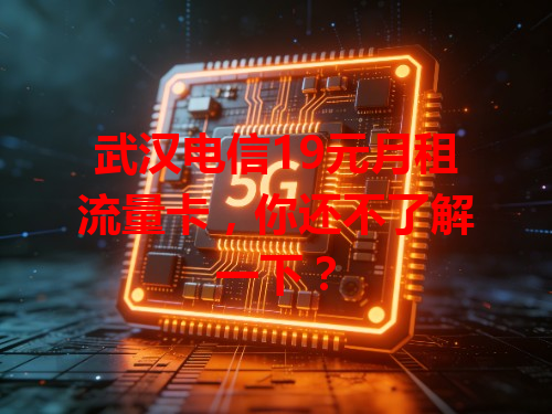 武汉电信19元月租流量卡，你还不了解一下？