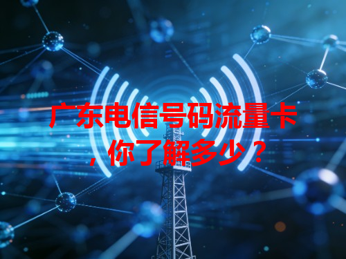 广东电信号码流量卡，你了解多少？