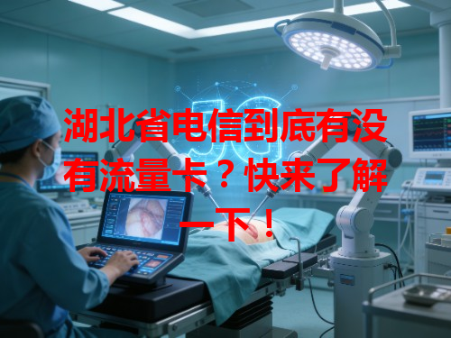 湖北省电信到底有没有流量卡？快来了解一下！