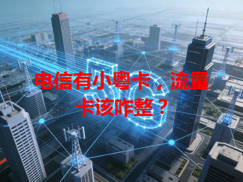 电信有小粤卡，流量卡该咋整？