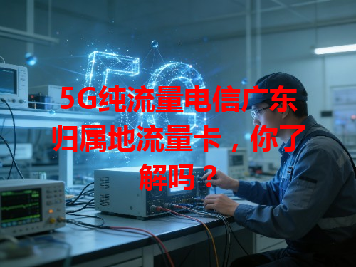 5G纯流量电信广东归属地流量卡，你了解吗？