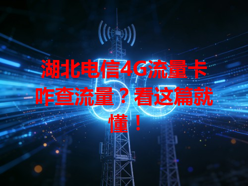 湖北电信4G流量卡咋查流量？看这篇就懂！