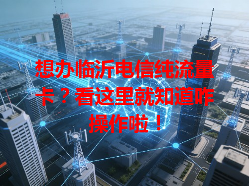 想办临沂电信纯流量卡？看这里就知道咋操作啦！