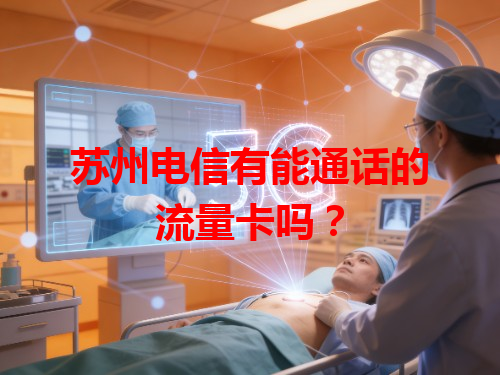苏州电信有能通话的流量卡吗？