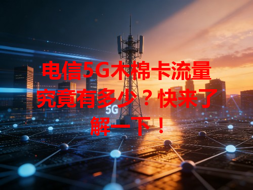 电信5G木棉卡流量究竟有多少？快来了解一下！