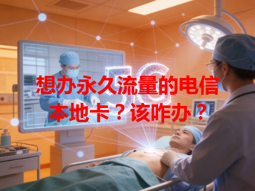 想办永久流量的电信本地卡？该咋办？