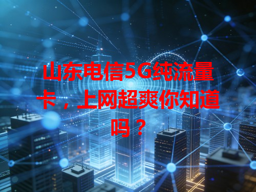 山东电信5G纯流量卡，上网超爽你知道吗？