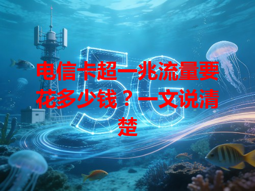 电信卡超一兆流量要花多少钱？一文说清楚