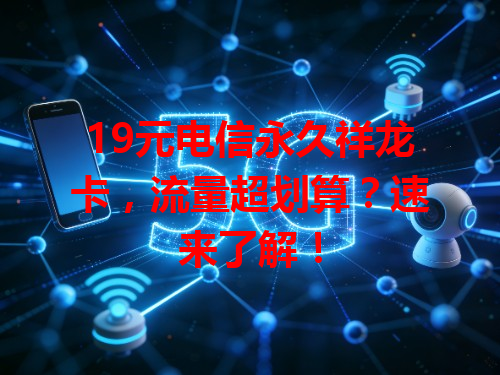 19元电信永久祥龙卡，流量超划算？速来了解！