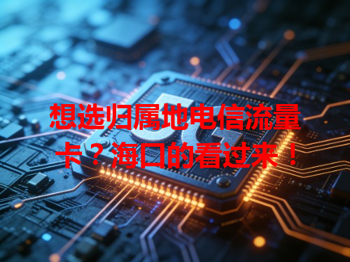 想选归属地电信流量卡？海口的看过来！