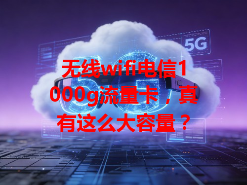 无线wifi电信1000g流量卡，真有这么大容量？