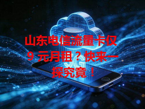 山东电信流量卡仅 9 元月租？快来一探究竟！