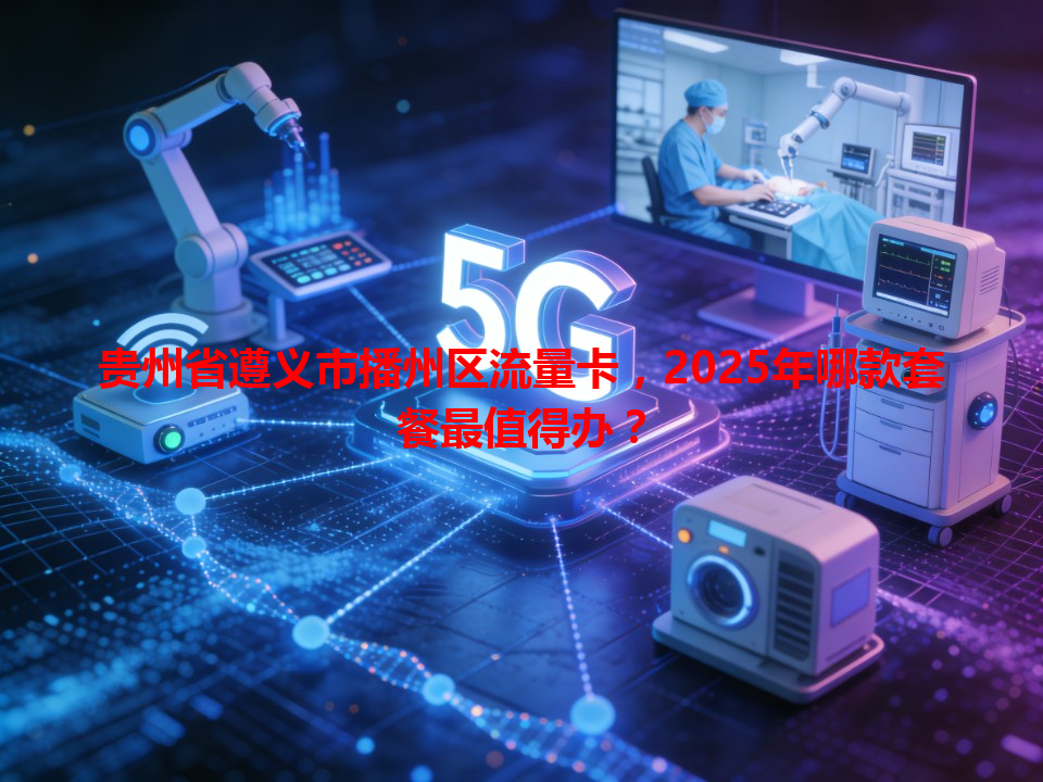 贵州省遵义市播州区流量卡，2025年哪款套餐最值得办？