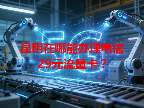 昆明在哪能办理电信29元流量卡？