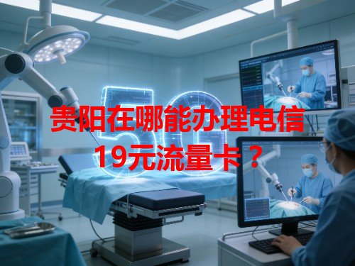 贵阳在哪能办理电信19元流量卡？
