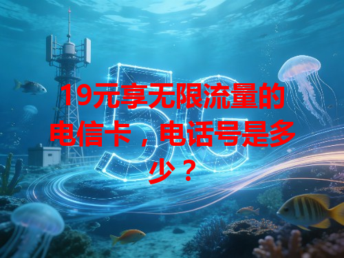 19元享无限流量的电信卡，电话号是多少？