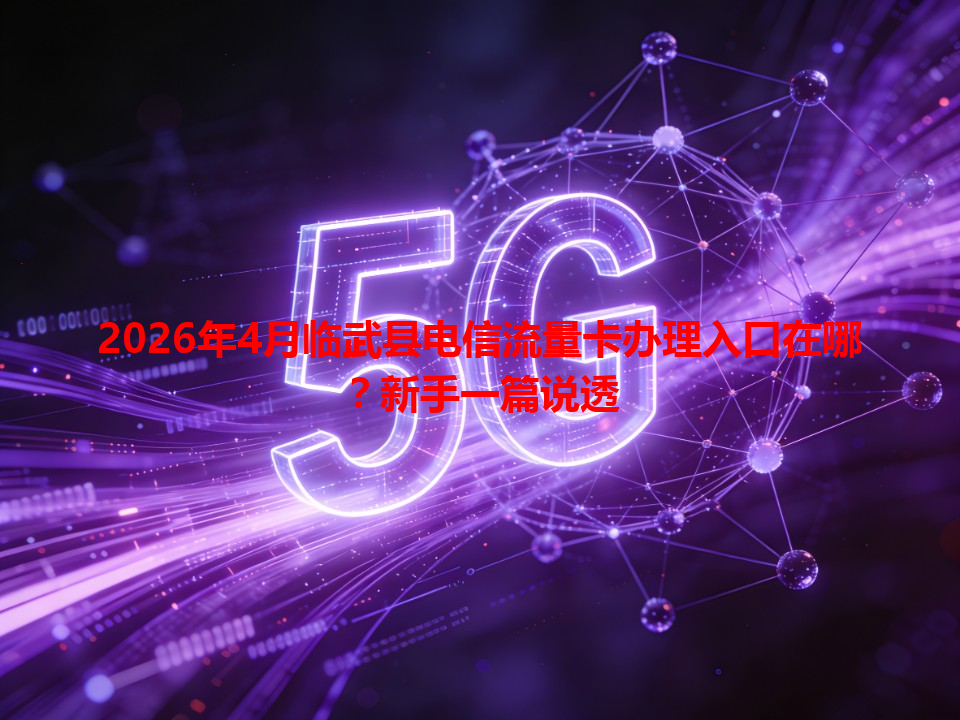 2026年4月临武县电信流量卡办理入口在哪？新手一篇说透