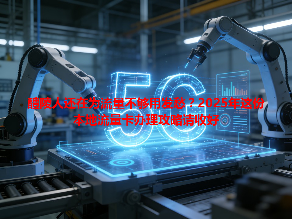 醴陵人还在为流量不够用发愁？2025年这份本地流量卡办理攻略请收好