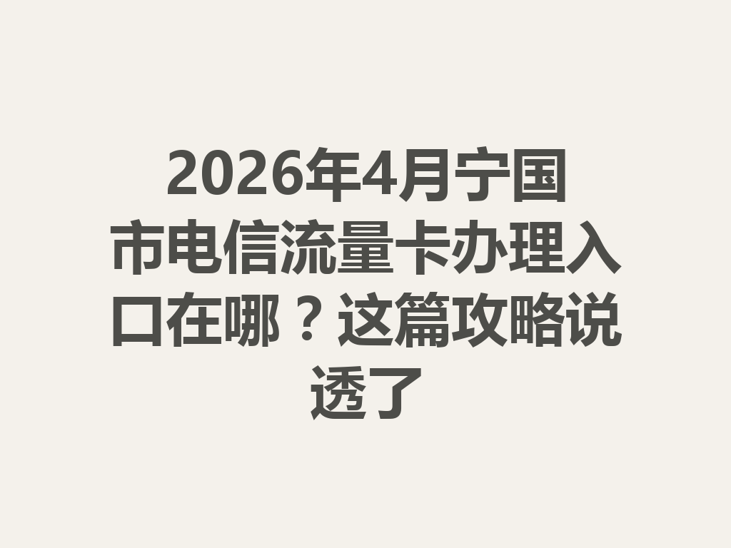 2026年4月宁国市电信流量卡办理入口在哪？这篇攻略说透了