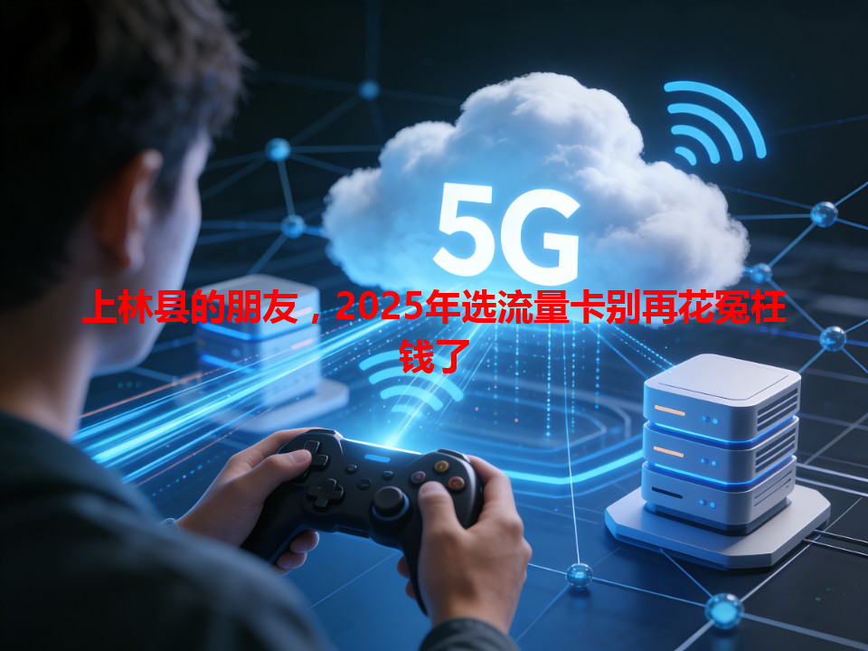 上林县的朋友，2025年选流量卡别再花冤枉钱了