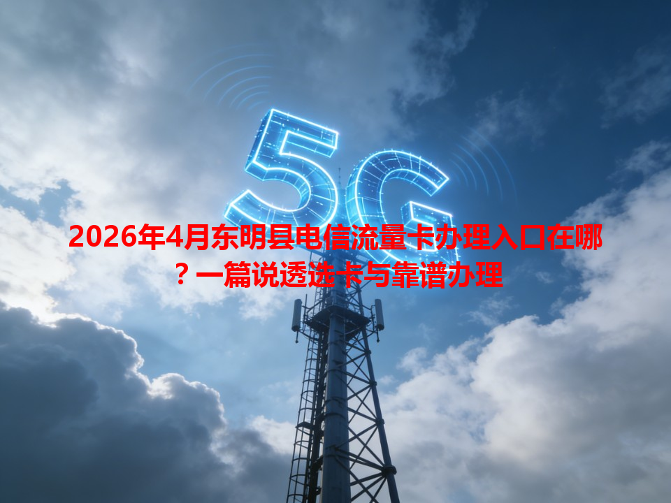 2026年4月东明县电信流量卡办理入口在哪？一篇说透选卡与靠谱办理